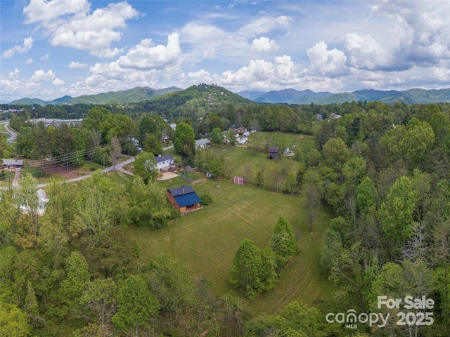 64 Alexander Rd, Weaverville, NC 28787 - photo 44