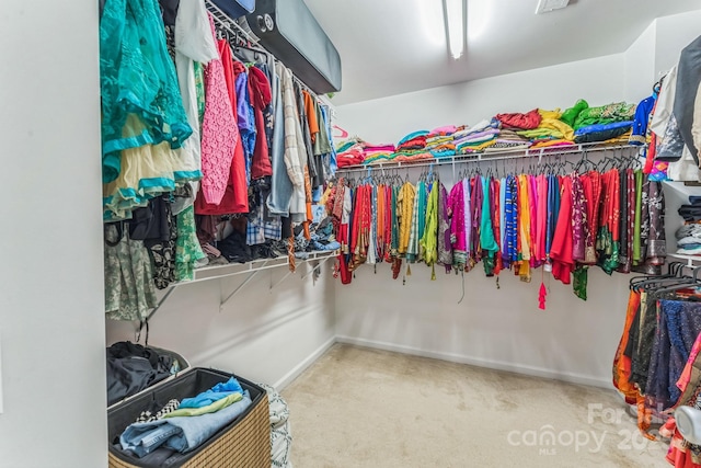 spacious closet featuring carpet flooring