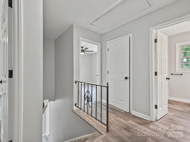 2544 Cedarwild Rd, Charlotte, NC 28212 - hallway with baseboards, an upstairs landing, wood finished floors, and attic access