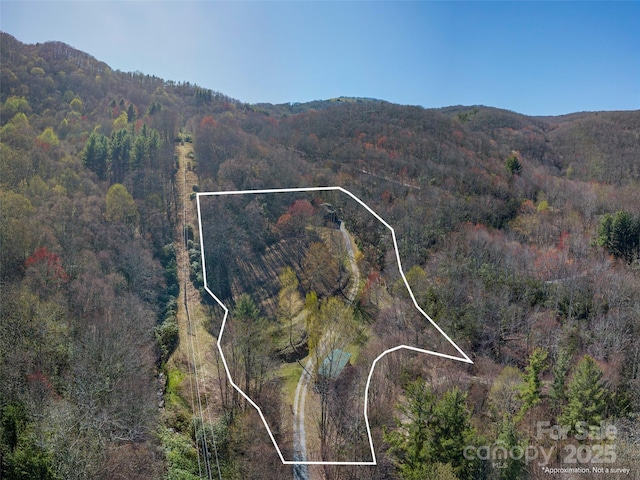 90 Junco Trl, Waynesville, NC 28785 - drone / aerial view with a wooded view and a mountain view