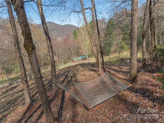 90 Junco Trl, Waynesville, NC 28785 - view of yard with a mountain view