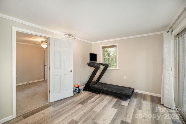 workout area with wood finished floors, crown molding, and baseboards