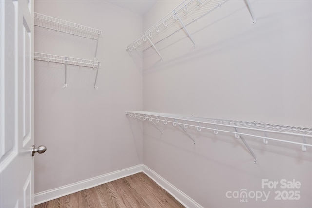 spacious closet featuring wood finished floors