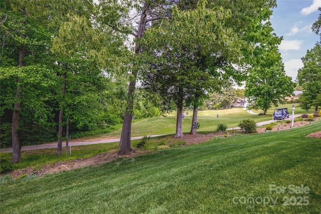 view of grassy yard featuring golf course view