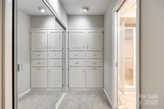 173 Greenridge Rd, Lake Wylie, SC 29710 - spacious closet with light carpet