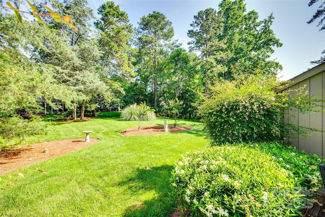 173 Greenridge Rd, Lake Wylie, SC 29710 - view of green lawn
