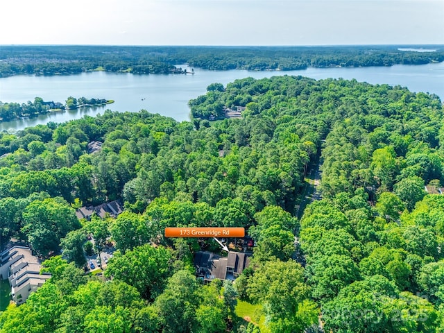 173 Greenridge Rd, Lake Wylie, SC 29710 - view of property location with a nearby body of water and a forest