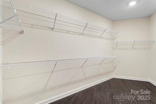 3630 N Davidson St Unit 3301, Charlotte, NC 28205 - walk in closet with dark wood-style flooring