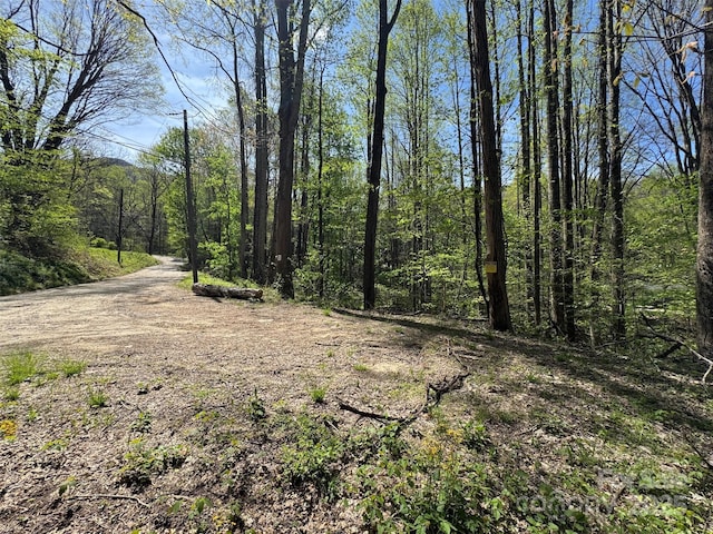 TBD(B) Browning Branch Road, Waynesville, NC 28786
