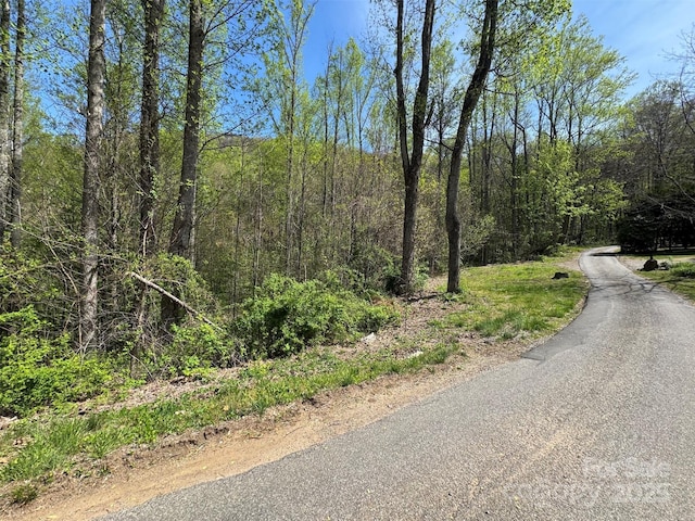 TBD(B) Browning Branch Road, Waynesville, NC 28786