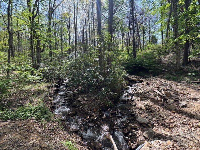 TBD(B) Browning Branch Road, Waynesville, NC 28786