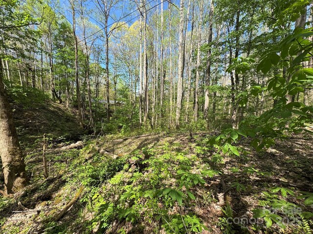 TBD(B) Browning Branch Road, Waynesville, NC 28786