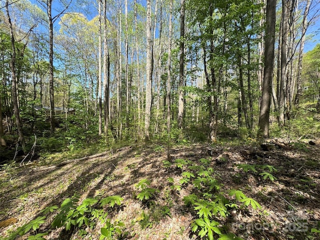 TBD(B) Browning Branch Road, Waynesville, NC 28786