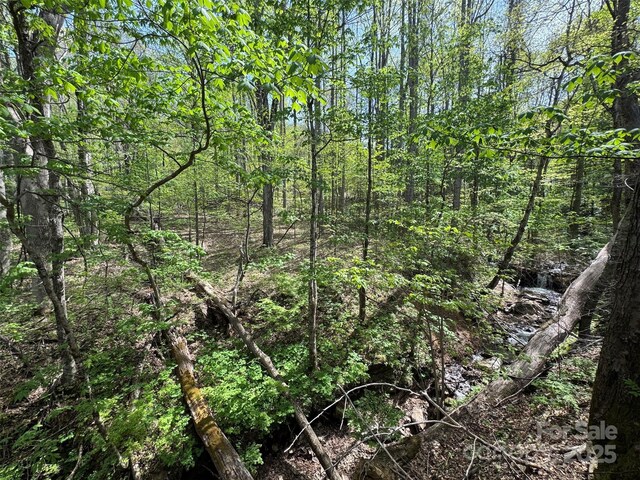 TBD(B) Browning Branch Road, Waynesville, NC 28786