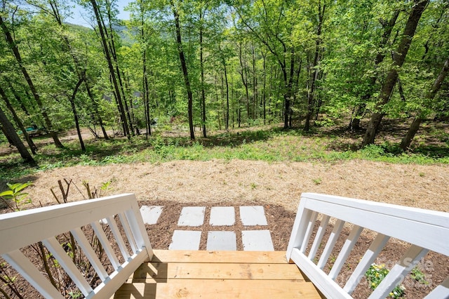 62 Mackenzie Way, Swannanoa, NC 28778 - view of yard