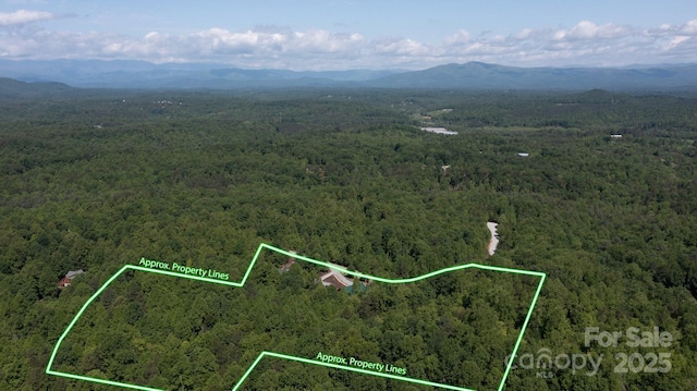 165 Perennial Dr, Nebo, NC 28761 - photo 44