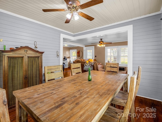 dining area featuring a healthy amount of sunlight, ceiling fan, and wood walls