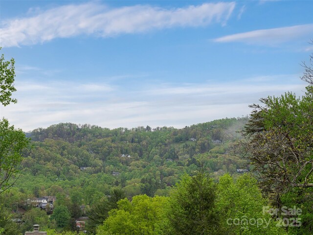 1901 Timber Trl, Asheville, NC 28804 - photo 29