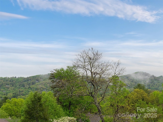 1901 Timber Trl, Asheville, NC 28804 - photo 30