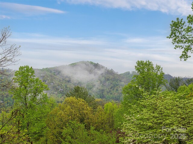 1901 Timber Trl, Asheville, NC 28804 - photo 28
