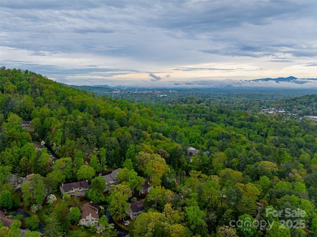 1901 Timber Trl, Asheville, NC 28804 - photo 31