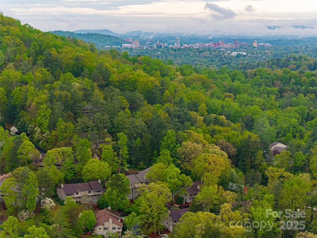 1901 Timber Trl, Asheville, NC 28804 - photo 32