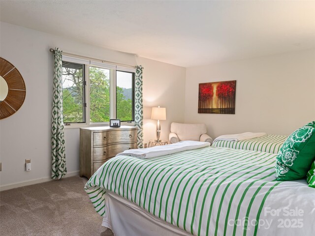 1901 Timber Trl, Asheville, NC 28804 - photo 7