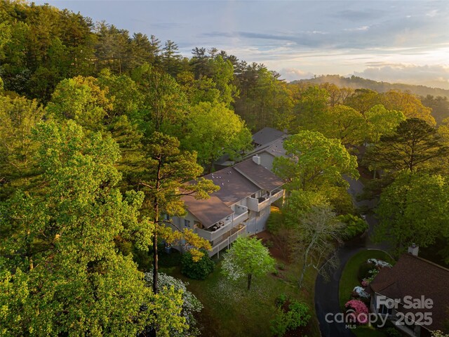 1901 Timber Trl, Asheville, NC 28804 - photo 10