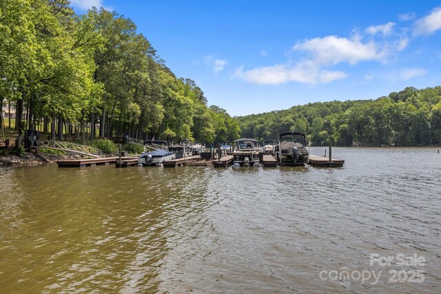 7620 Porrera St, Charlotte, NC 28214 - dock area with a view of trees and a water view