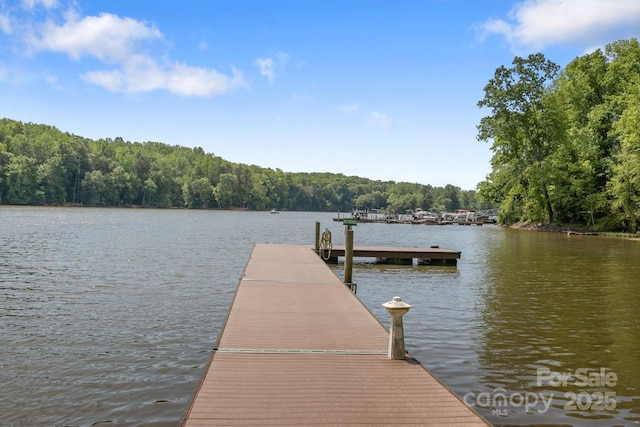 7620 Porrera St, Charlotte, NC 28214 - dock area with a view of trees and a water view