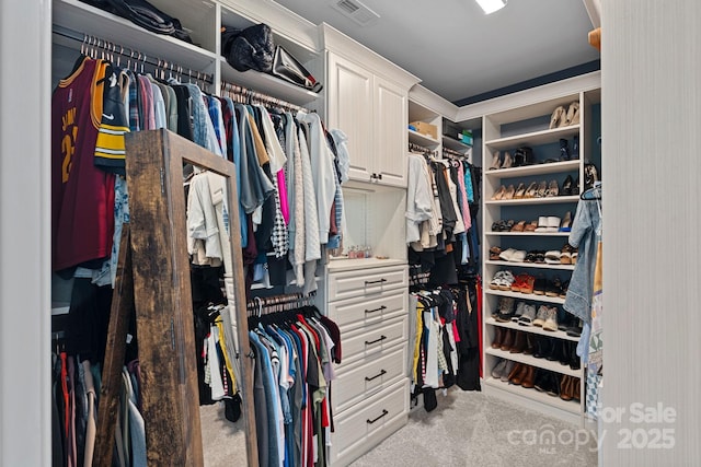 7730 Burning Ridge Dr, Stanley, NC 28164 - walk in closet with carpet