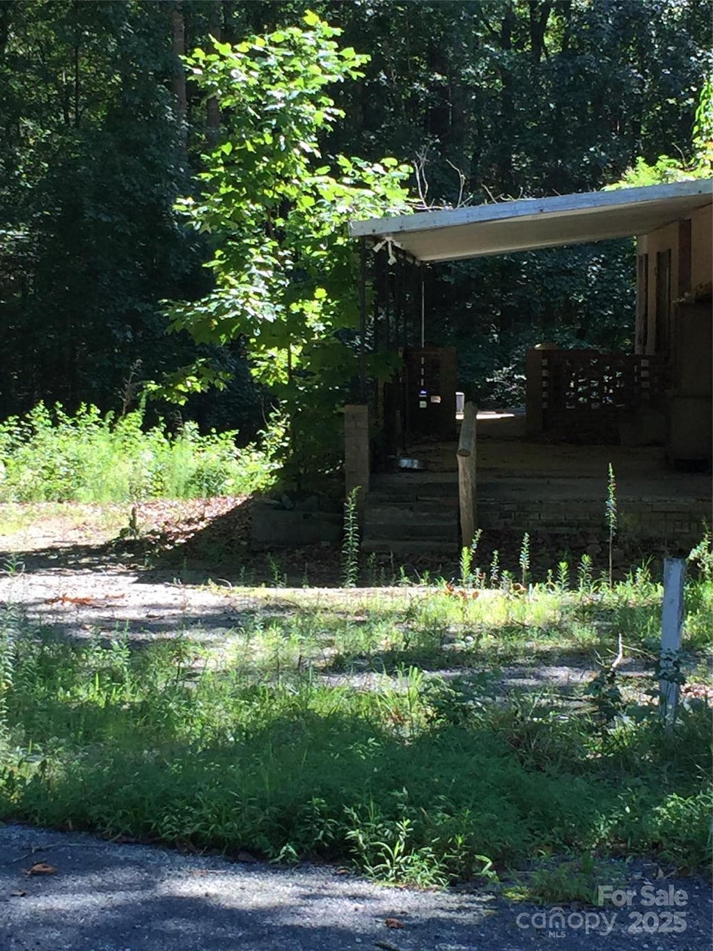 view of yard with a forest view