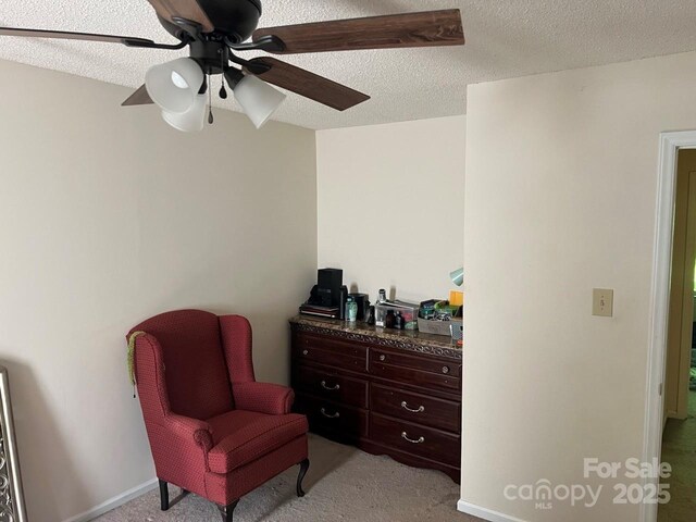 116 Fairview St, Shelby, NC 28152 - sitting room featuring a textured ceiling, ceiling fan, and light carpet