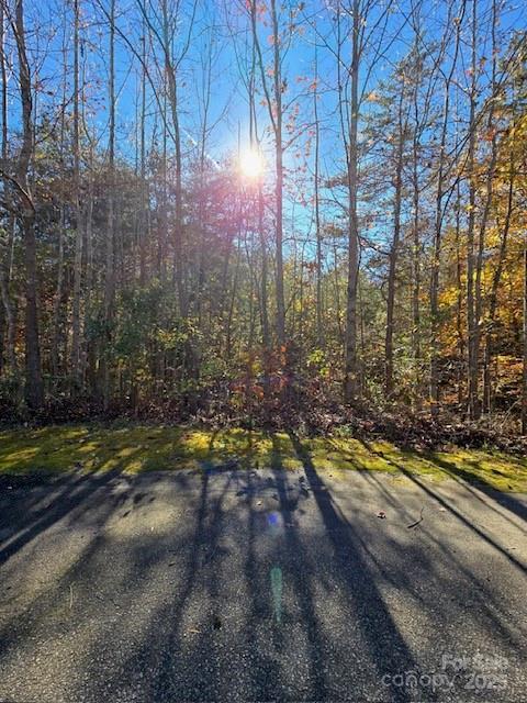 0 Seminole Dr, Maiden, NC 28650 - photo 2