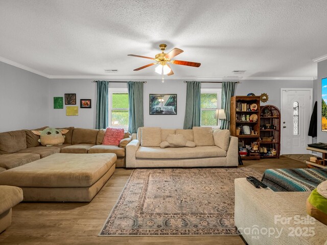 living area with crown molding, a ceiling fan, a textured ceiling, and wood finished floors
