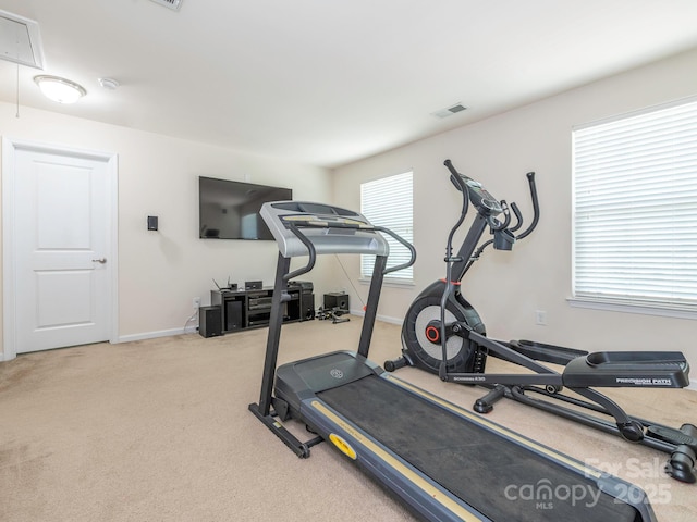exercise room with baseboards, carpet flooring, visible vents, and attic access