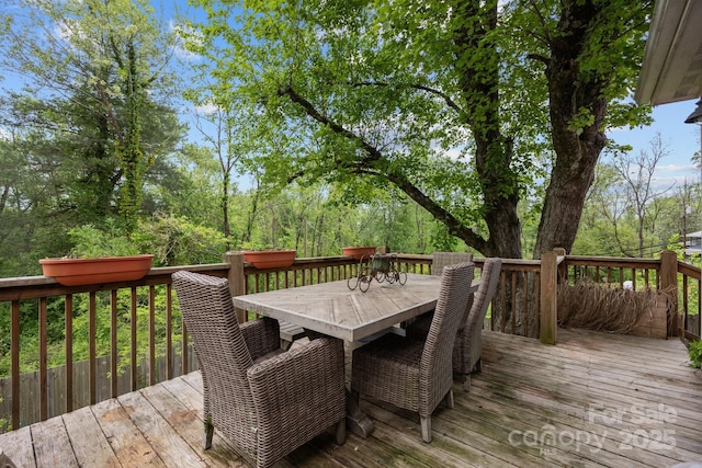 924 Judsen Ln, Hendersonville, NC 28739 - photo 32
