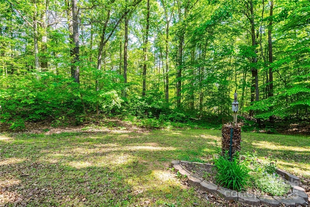 view of yard featuring a wooded view