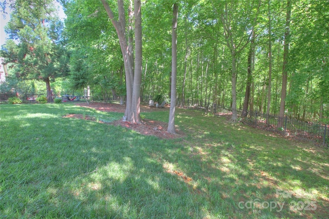 3009 Thayer Dr, Waxhaw, NC 28173 - view of yard