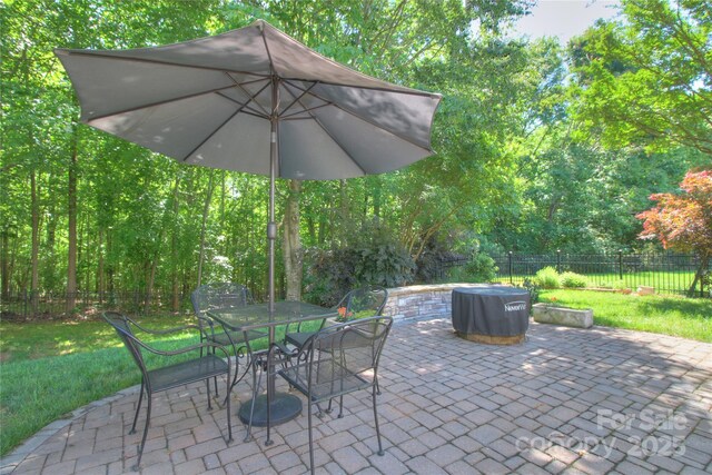 3009 Thayer Dr, Waxhaw, NC 28173 - view of patio