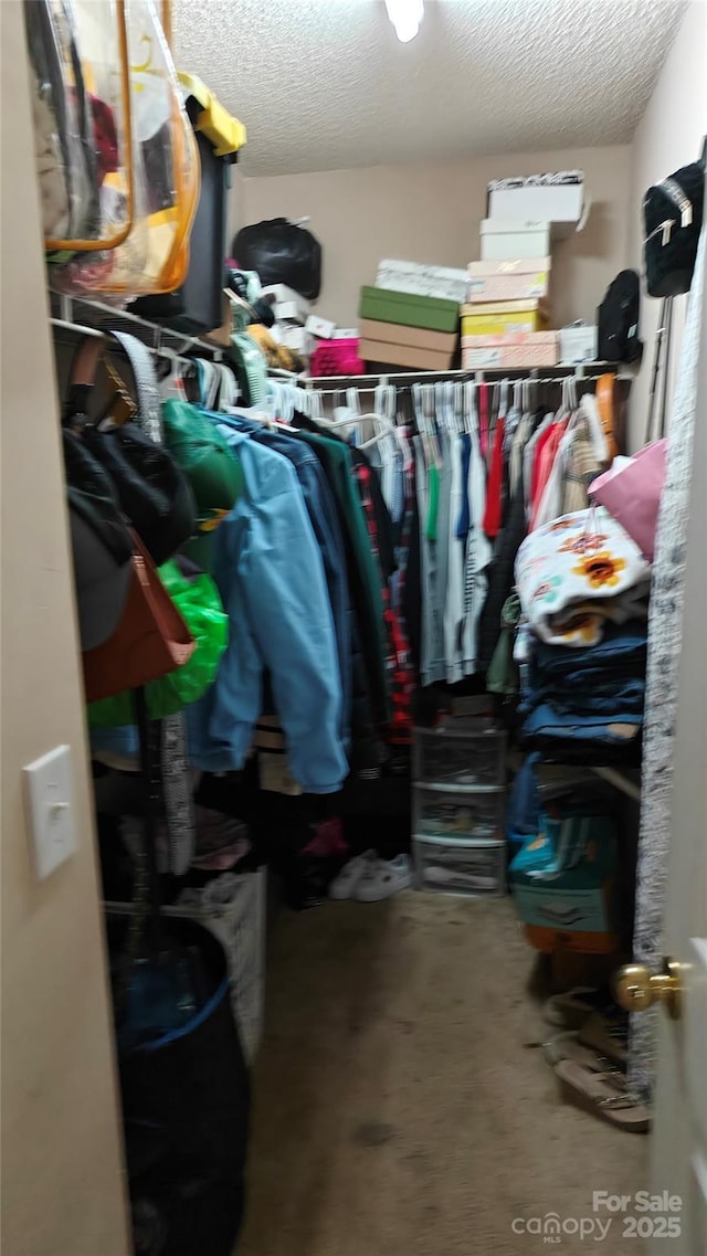 8524 Stoneman Pl, Charlotte, NC 28217 - walk in closet with carpet floors