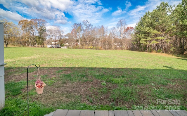 view of yard