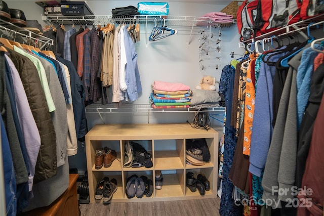 spacious closet with wood finished floors