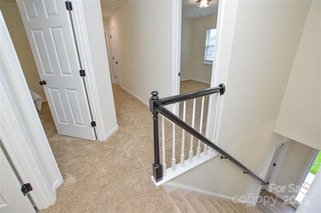 stairway with carpet, healthy amount of natural light, and baseboards