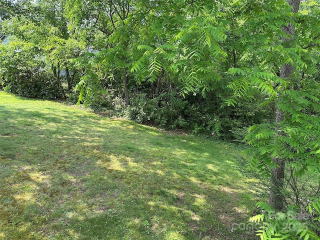 180 White Dogwood Ln, Lake Junaluska, NC 28745 - photo 4