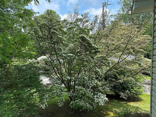180 White Dogwood Ln, Lake Junaluska, NC 28745 - photo 23
