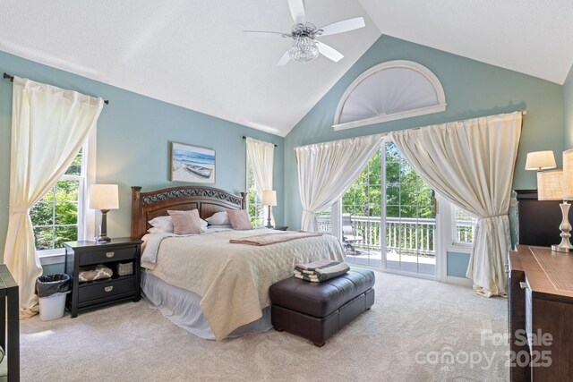 127 Poppy Ln, Asheville, NC 28803 - photo 12
