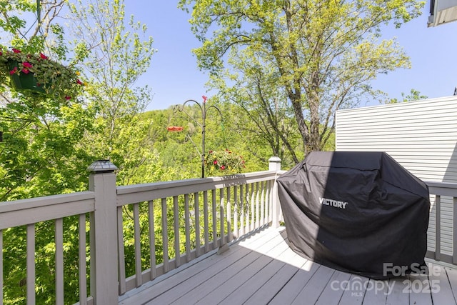 127 Poppy Ln, Asheville, NC 28803 - photo 16