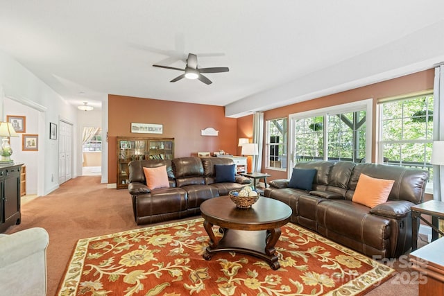 127 Poppy Ln, Asheville, NC 28803 - photo 20