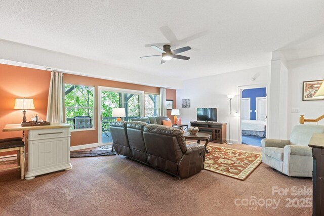 127 Poppy Ln, Asheville, NC 28803 - photo 21